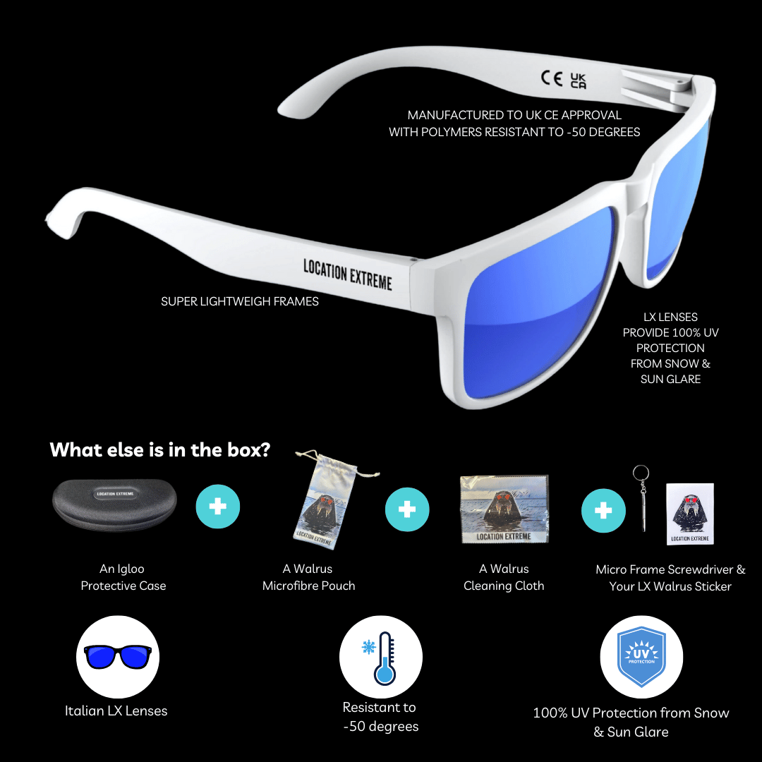 Iceberg Sunglasses – Buy 1 Get 1 Free!