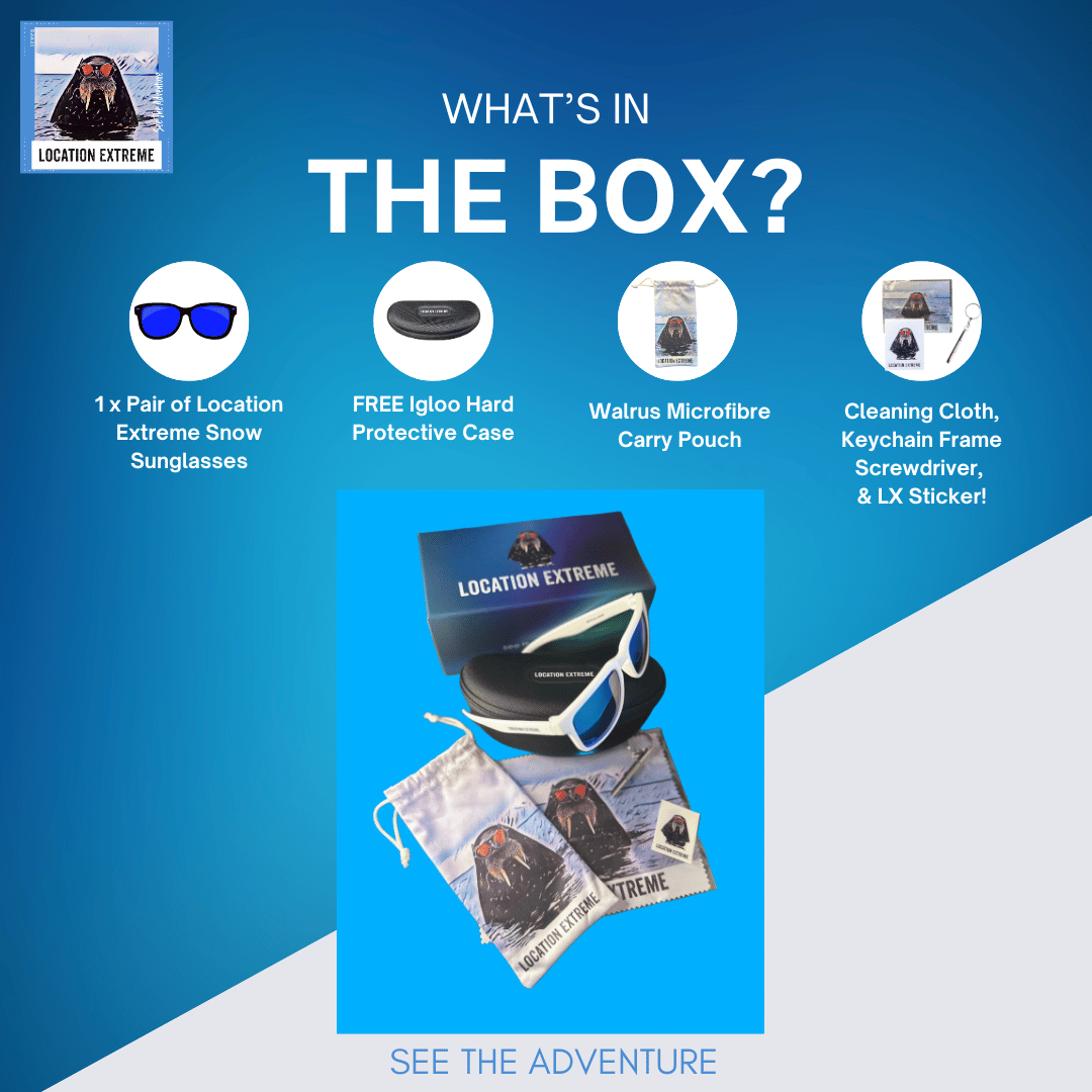 Iceberg Sunglasses – Buy 1 Get 1 Free!