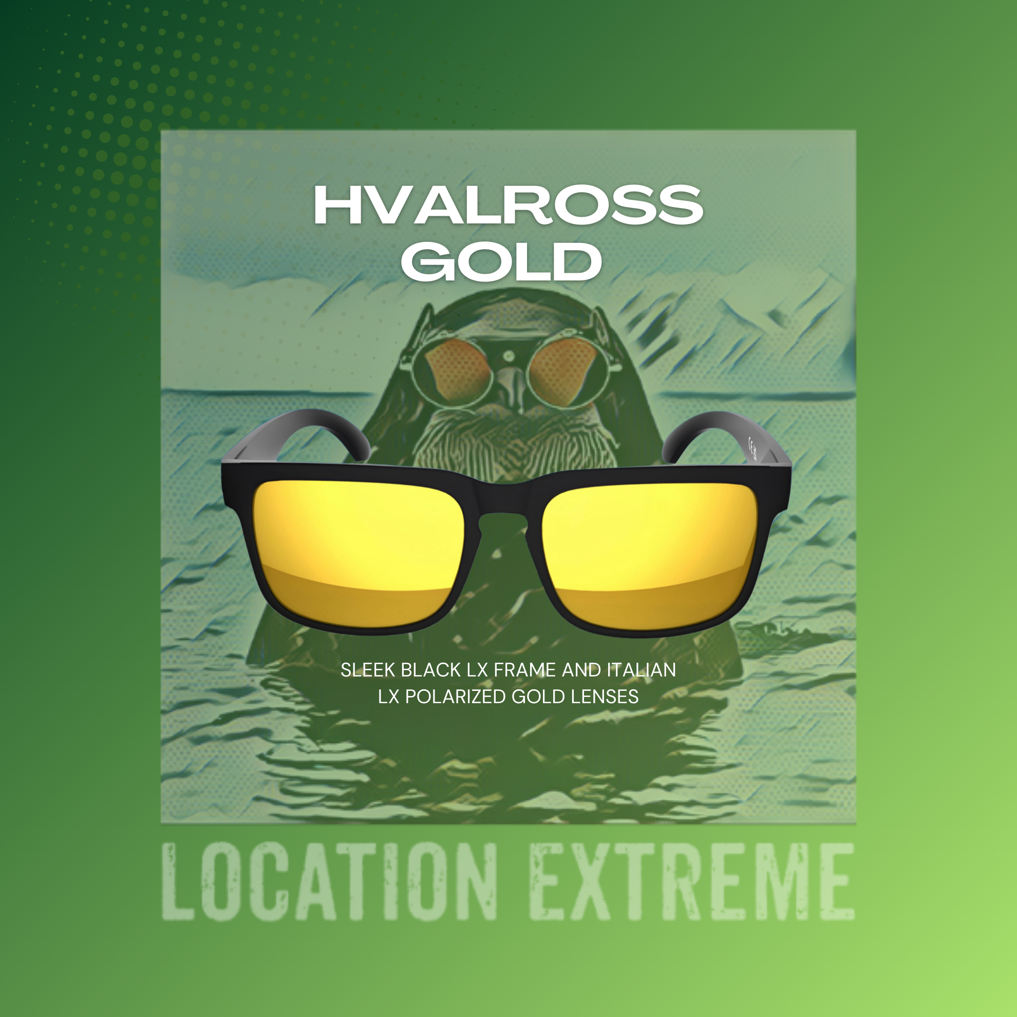 Hvalross Sunglasses – Buy 1 Get 1 Free!